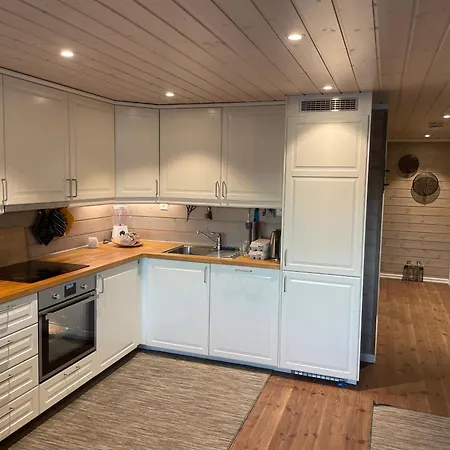 With View, Beach, Rowboat, Canoe 度假居 Austvatn