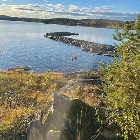 With View, Beach, Rowboat, Canoe